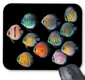 ChEfBXJX̃}EXpbhFtHgpbhi E̔MыV[Y j