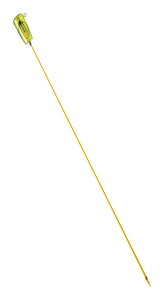 ꐸH Mt I[gLOMtXL CG [ 32098 CJ  GMO ނ