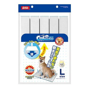 }J S̃N[ЂA~{[h L ELp LTCY (x 1)