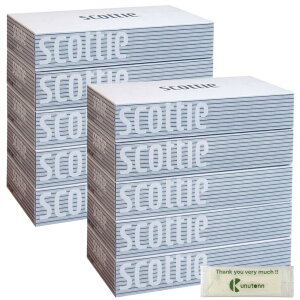 ylbg 400(200g) ×5pbN×2Zbgz NVA XRbeB eBbV zCg pbP[W {bNX eBV[ SCOTTIE Vv XgCv + KunutonnIWiSe܂