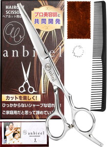 anbieel (vetďC) s炢XCfBOJbgZp̗p U nT~ wAJbg ͂ O VU[ ؂nT~