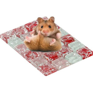 MUYYIKA ハムスター ひんやり 涼感 クールマット 冷却 ベッド マット 暑さしのぎに 涼しい 夏用 小動 物用 冷んやり プレート 熱中症防止 暑さ対策 (100×65mm)