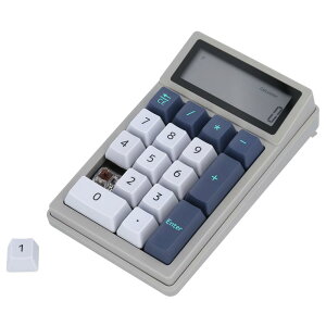 DENTEN deL[ 2in1 Bluetooth CX JjJ XCb` Type-C [d ()