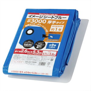  u[V[g W[V[g C[WV[gu[ #3000  2.7×5.4m |J[{l[gng gpڈ1N 1