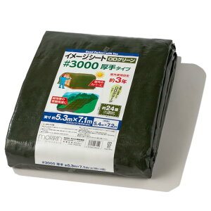  ODV[g W[V[g #3000 5.3m×7.1m 24  Ogpڈ3N ng28 J悯 悯 ς 30O5472 OD