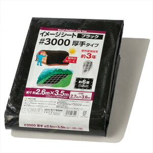  ubNV[g W[V[g #3000 2.6m×3.5m 6  Ogpڈ3N ng14 J悯 悯 ς 30L2736