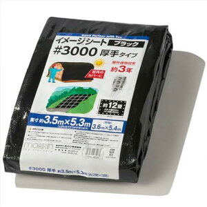  ubNV[g W[V[g #3000 3.5m×5.3m 12  Ogpڈ3N ng20 J悯 悯 ς 30L3654