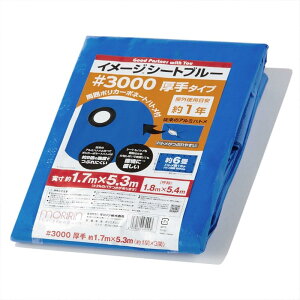  u[V[g W[V[g C[WV[gu[ #3000  1.8×5.4m |J[{l[gng gpڈ1N 1