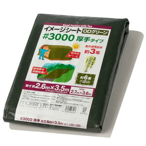  ODV[g W[V[g #3000 2.6m×3.5m 6  Ogpڈ3N ng14 J悯 悯 ς 30O2736 OD