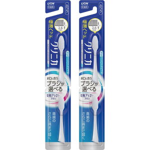 VXe} CI dAVXguV tփuV NjJ Ahoe[W RpNg ӂ 2{ ×2