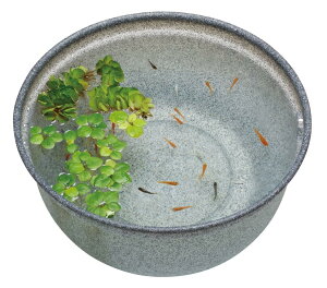 WFbNX GEX _JC _Ĵ߂̎甫 ݂ 420 Oa42×20cm 16L O  y 2̐ @ e: