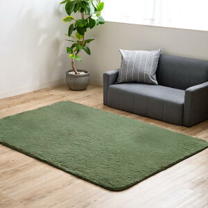 �A�C���X�v���U(IRIS PLAZA) ���O �J�[�y�b�g �V���M�[���O �z������ �h�� ����~�߉��H �I�[���V�[�Y�� �O���[�� 130×185 SGR-1318