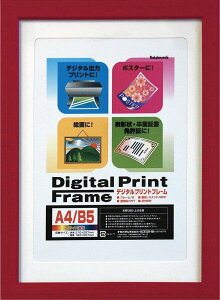 NAKABAYASHI �t�H�g�t���[�� �t-DPW-A4-R ���b�h A4��/B5��