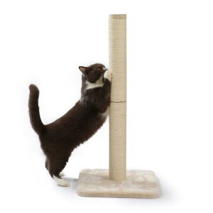 Linecoichij oo߂Ƃ|[  (L{)