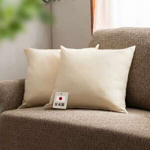 ACXvU k[hNbV 45×45cm { 2Zbg ᔽ`bvgp ̈U kȂ ӂӂ w zCg