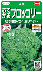 サカタのタネ 実咲野菜2504 おてがるブロッコリー 緑嶺 00922504