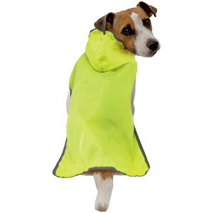 hM[} ChicchaI ppbƒ |Pbg悯JR[g M C pCR[g