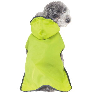 hM[} ChicchaI ppbƒ |Pbg悯JR[g S C pCR[g  STCY