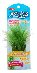 WFbNX GEX _JC _Ji ӂӂY S