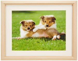 FUJICOLOR 額縁 M12 アクリル 木地 4切 木製 ベージュ 47023