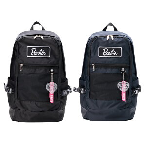 bN XN[obO ʊwbN e Z w 27L ʊwp wJo fCobO ubN lCr[ KANKO BB105