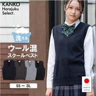 スクールベスト 女子 無地 【 日本製 】 制服 ベスト ウール混 冬 学生 高校生 中学生 女子高生 紺 ネイ…