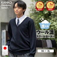 【300円OFFクーポン配布中！6/10まで】 スクールセーター 男子 【 日本製 】 学校 高校生 中学生 制服 セ…