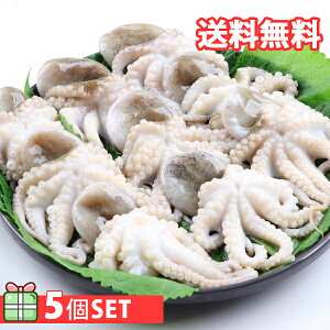 [] ⓀCC_R 1kg 5Zbg(1600~×5) CC_R ς ^R  yz