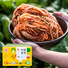 [冷]イェソダム 白菜キムチ 5kg 韓国産キムチ 白菜キムチ