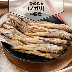 [yVX[p[SALE] Ђ߂ mK  s ܂   ؍