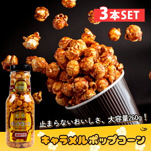 [؍s] e L|bvR[ 260g 3Zbg(380~×3) {g fًC̊Âς