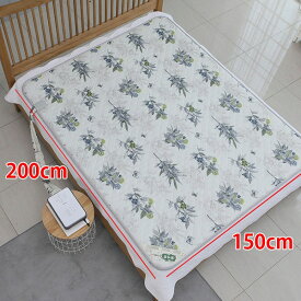 [新型：商品変更]日月温水マットダブル 水を使ったポカポカお湯の暖房 【送料無料】