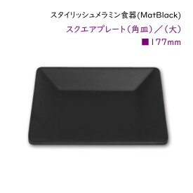スタイリッシュ メラミン食器 (Mat Black)【スクエアプレート□177mm】洋風　カフェ用のおしゃれなお皿