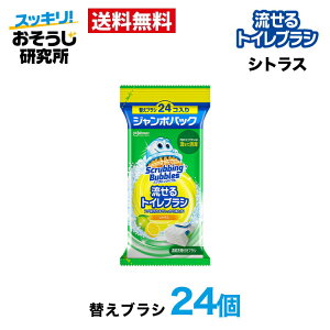  gCuV tւuV (24) W{pbN XNrOou gC  gC| ܂Ƃߔ ĝ 