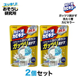 ガッツリ剥がす洗たく槽カビキラー×2個セット