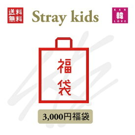 [STRAY KIDS 福袋] Stray Kids 福袋 3,000円 [メンバー選択] グッズ+文具 バンチャン リノ チャンビン ヒョンジン ハン フィリックス スンミン アイエン(hb7070221126-05)