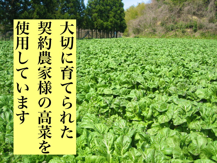 楽天市場】高菜 高菜 たかな 高菜漬け 辛子たかな 高菜セット 送料無料 