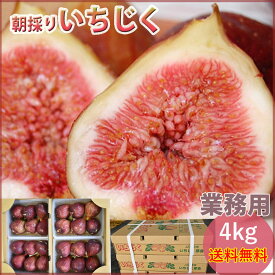 楽天市場 生いちじくの通販 楽天市場 生いちじくの通販