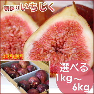 ͓Ŷ肢_ƒ I Iׂ1kg`6kg (1kg/2kg/3kg/4kg/6kg)  {͓쒬Y  _ƒ ̂ C`WN ԉ  i Ii Ǖi Gi VN  [N[