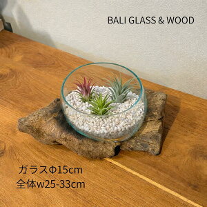 BALI �y�󂢁z�y�K���X��15cm�O��z�yW25�`33cm�z���؃K���X�t�����[�x�[�X �u�� �I�u�W�F �ԕr �t�����[�x�[�X ���� �Ԋ� �o���K���X �K���X �ؐ� �E�b�h ���_�J �ۃ��E�� �k���C���e���A �o��