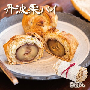 Xɑ傫Ȃ܂I嗱̒OgI1ґ OgIpC3Zbg mۑYn