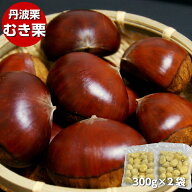 ※予約商品※ 2026年産 丹波栗 むき栗 300g×2袋 手剥き 自社加工 生栗 冷凍品
