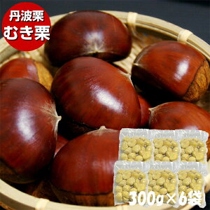 \񏤕i 2025NY OgI ނI 300g×6 蔍 ЉH I Ⓚi