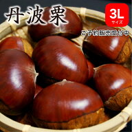※予約商品※ 2026年産 生栗 丹波栗3Lサイズ 1kg×3袋 丹波篠山