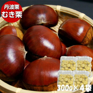 \񏤕i 2025NY OgI ނI 300g×4 蔍 ЉH I Ⓚi