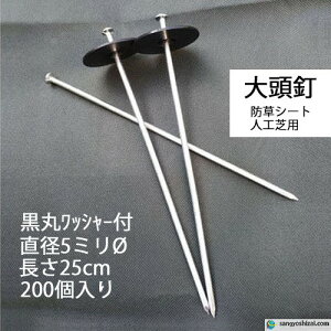 哪B ەt 25cm 5mm 200/CS ۓB s B fJs pbhZbg hV[g V[g lH  | K[fjO