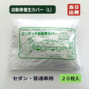 ԗ{Jo[ PEsA ^Cv L ʎԗp 3.6m×6.5m 20/CS I[gJo[ {fBJo[ J[Jo[ K[Wpi fBX| |Jo[ St