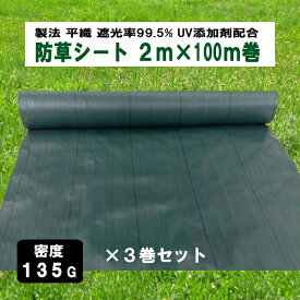 KS 防草シート 密度135G 2m×100m グリーン お得3巻セット UV添加剤入 抗菌剤入 高密度 厚手 除草シート 草よけシート 雑草対策 雑草防止 砂利下 人工芝下 造園 園芸 ガーデニング