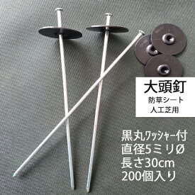 大頭釘 黒丸付 長さ30cm 太さ5mm 200個入/CS 黒丸釘 押さえピン 押さえ釘 デカピン パッドセット 防草シート 除草シート 人工芝 造園 園芸 ガーデニング