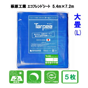 H ^[s[ GRthV[g(L) #3000 5.4m×7.2m 5 3×4 3K×4K { H h ~ nk  J悯 悯 h h u[V[g